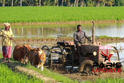 Agriculture vivrière